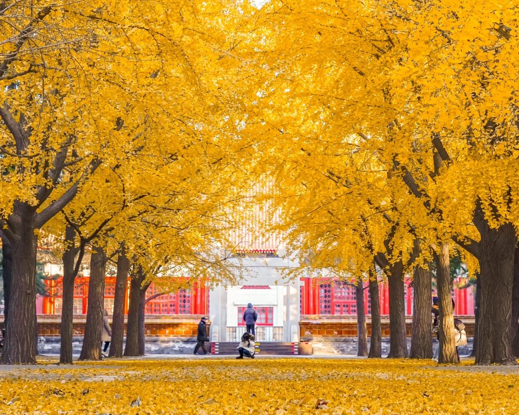 Công viên Địa Đàn – Hành trình tìm về dấu ấn linh thiêng ở Bắc Kinh